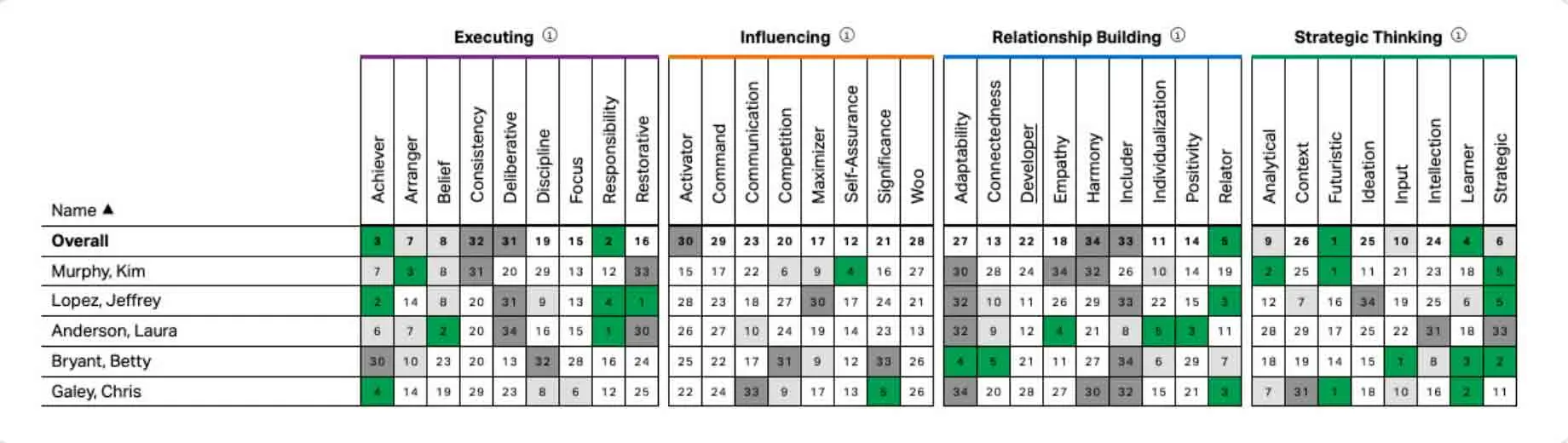 gallup team grid