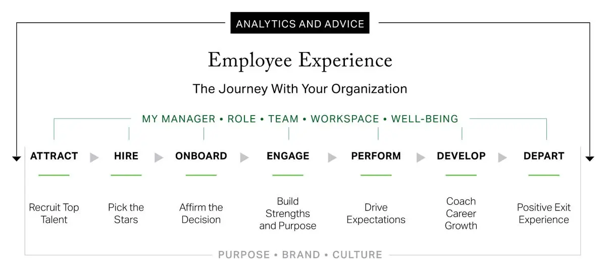 Exployee Experience Gallup Employee Experience